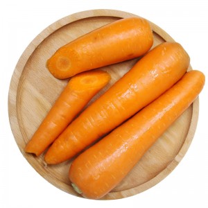 胡萝卜 350g 基地直供新鲜蔬菜安全可追溯