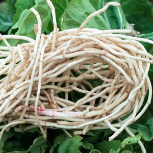 新鲜鱼腥草折耳根农家自种现挖猪鼻孔节儿根土特产蔬菜拌香菜即食 2斤 新鲜现挖